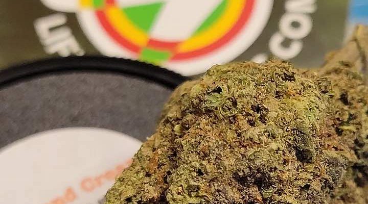 Tips for How to Pass a THC Drug Test